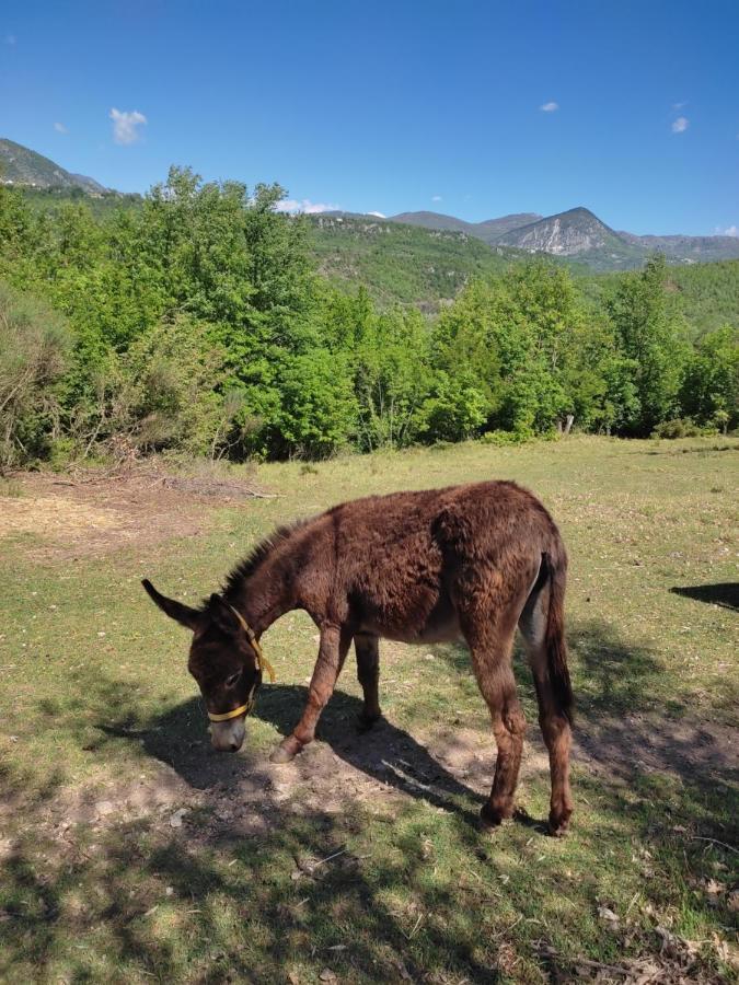 La Masseria Di Antonio E Teresina Colli a Volturno Екстер'єр фото