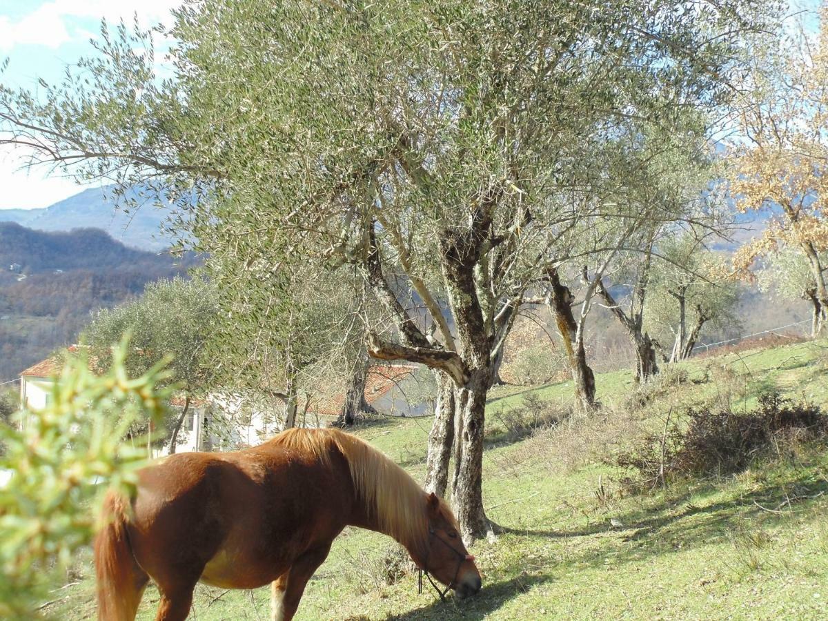La Masseria Di Antonio E Teresina Colli a Volturno Екстер'єр фото