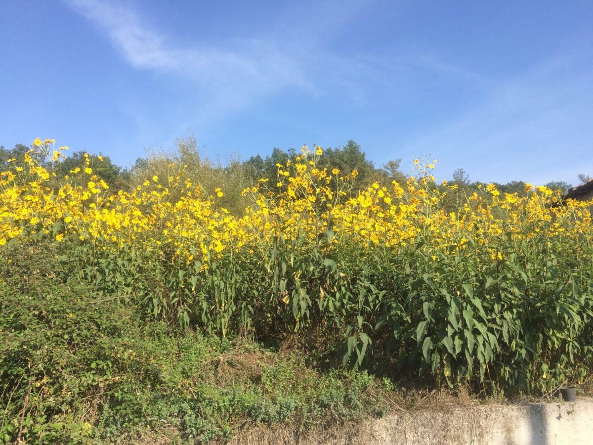 La Masseria Di Antonio E Teresina Colli a Volturno Екстер'єр фото