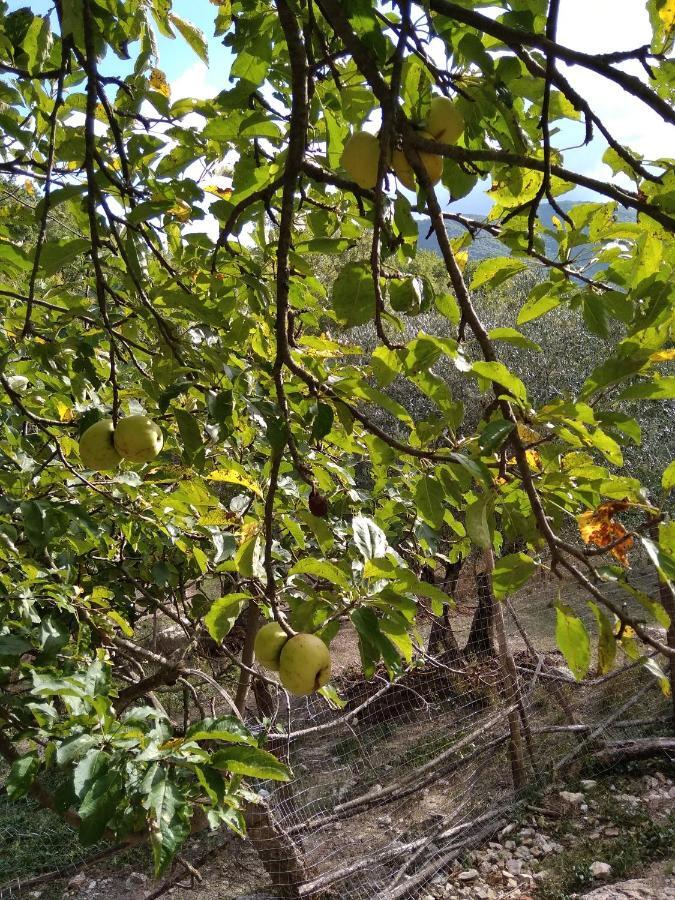La Masseria Di Antonio E Teresina Colli a Volturno Екстер'єр фото
